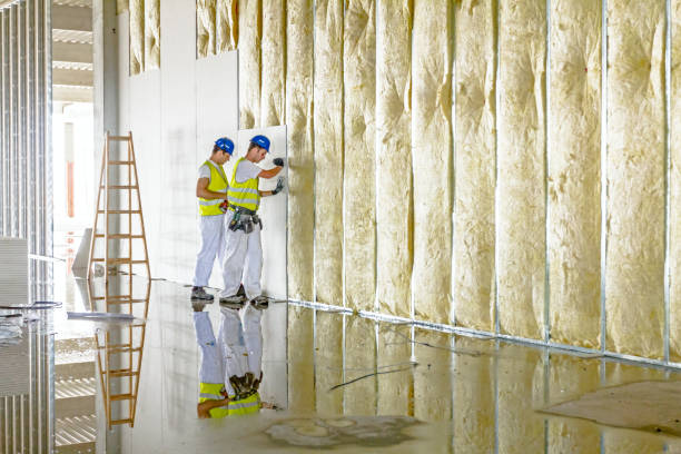 Best Eco-Friendly Insulation in Germantown, IL